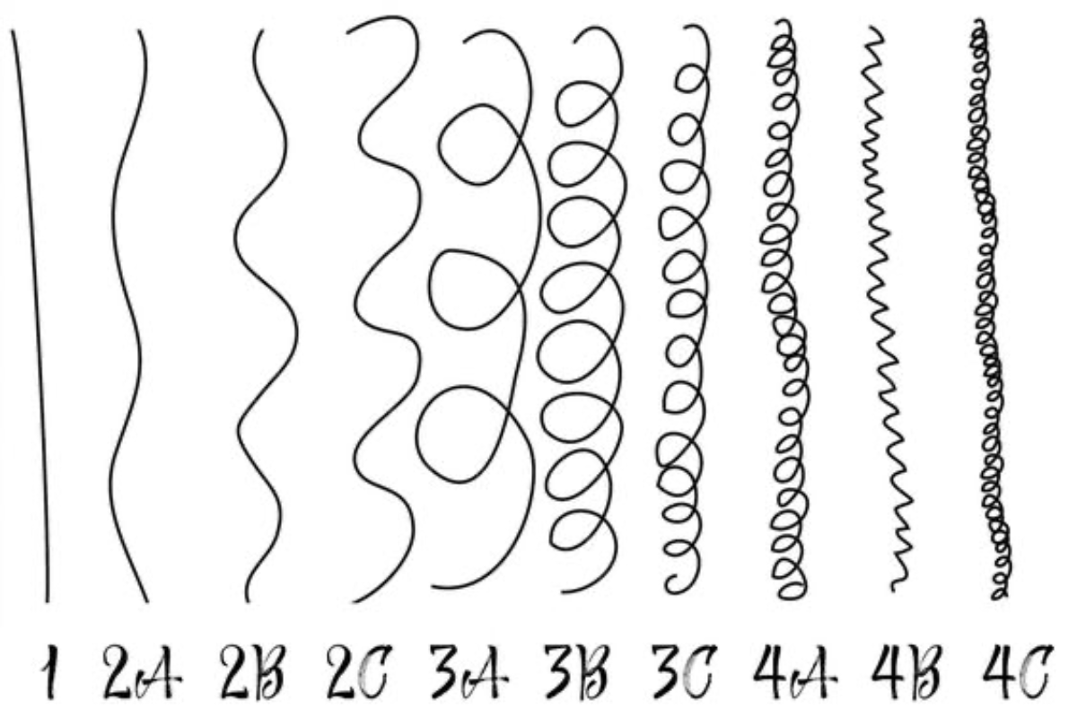 Différents types de cheveux