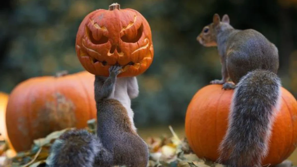 Le Parc Zoologique de Paris fete Halloween