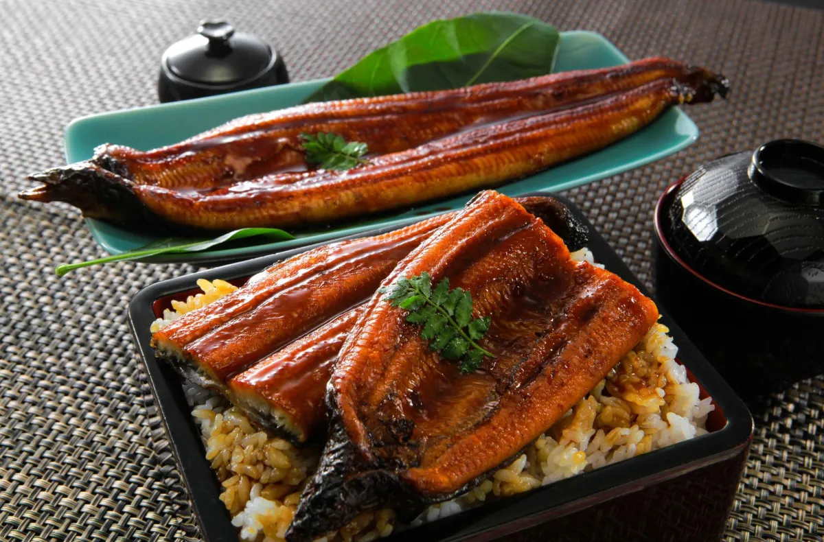 Grilled eel