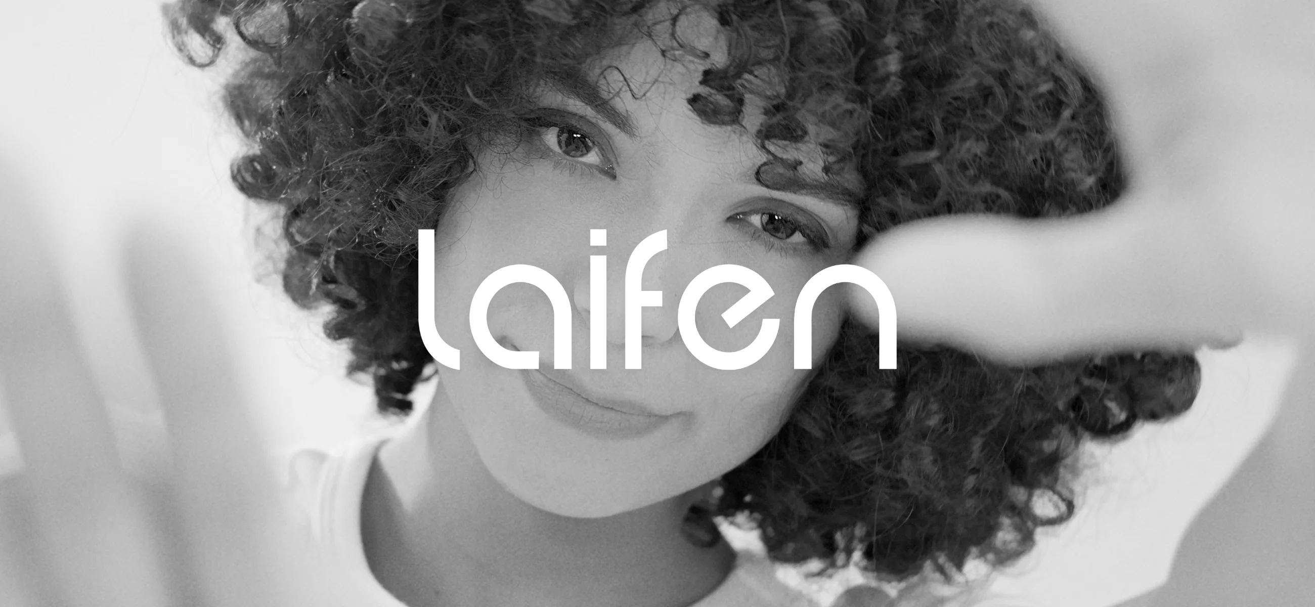 Good hair dryer brand - Laifen