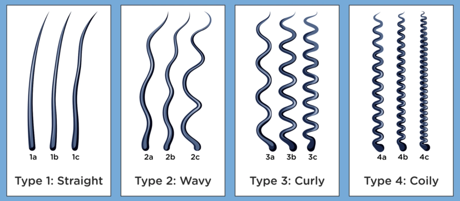 What is coily hair type?