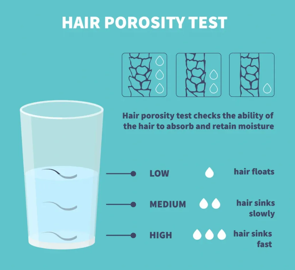 The porosity of your hair