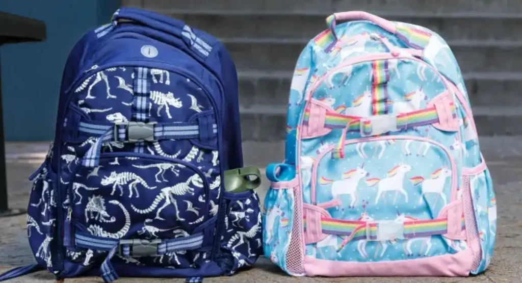 Backpack | Back to School supply