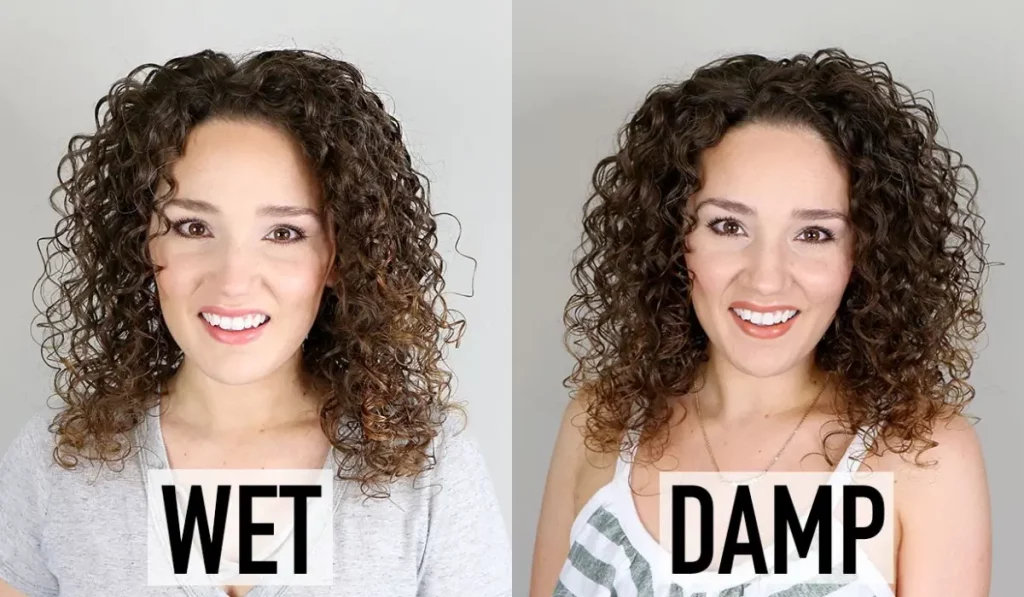 Damp your hair