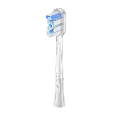 Replace your toothbrush or brush head every three to four months