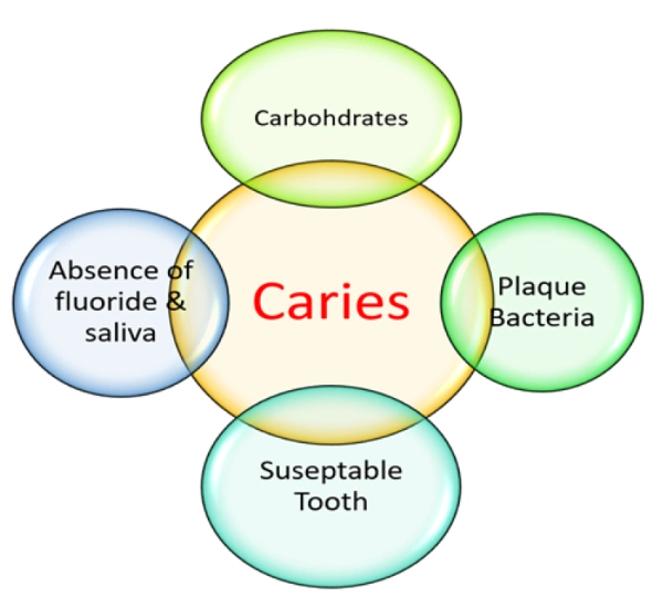 Risk factors for dental caries