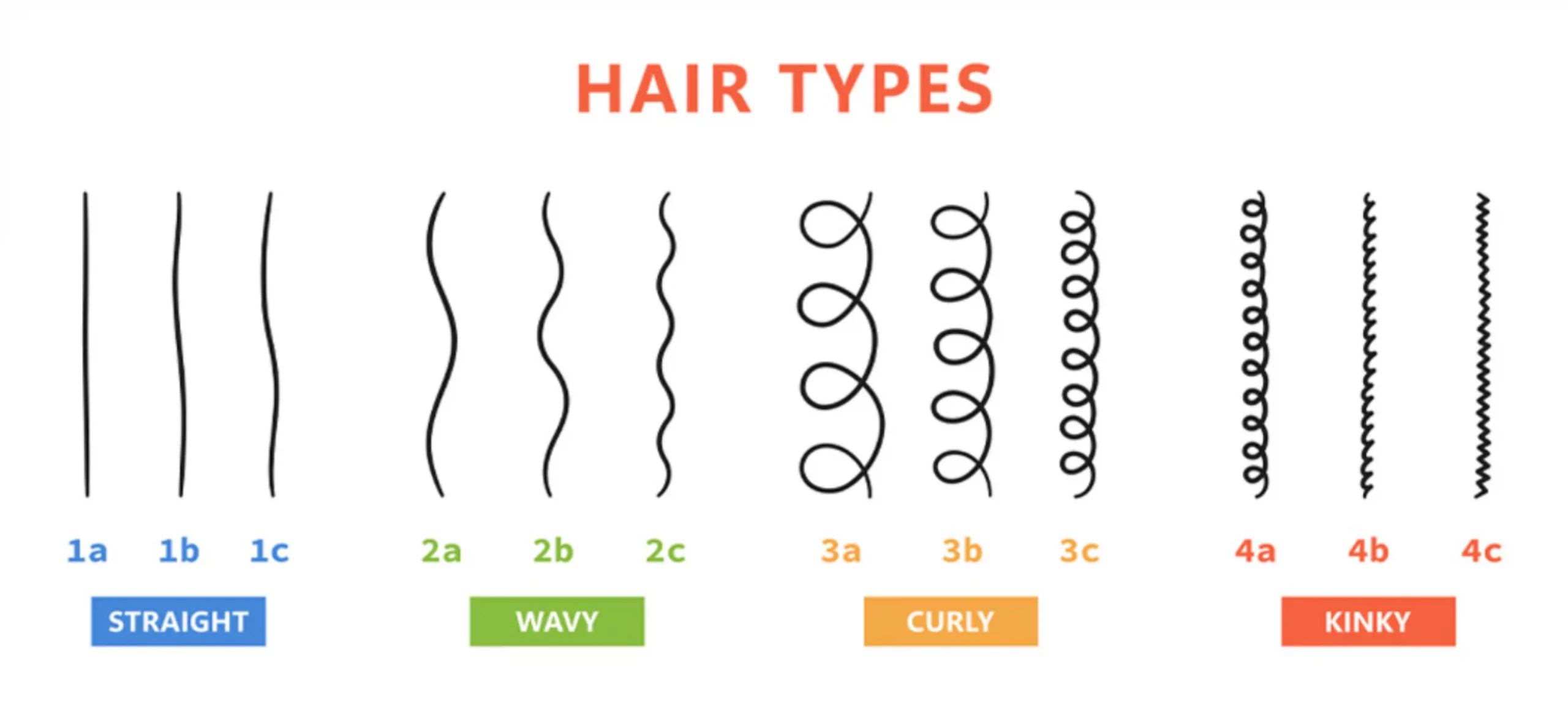 What is my hair type? A complete guide to curly, wavy, straight, and kinky hair