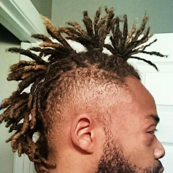 Dread hawk