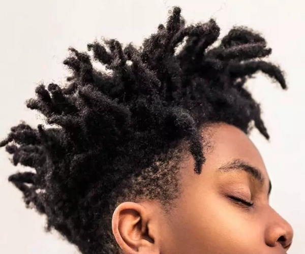 High top dreads