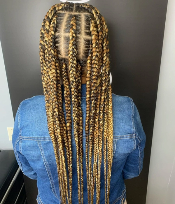 Pop smoke braids with color