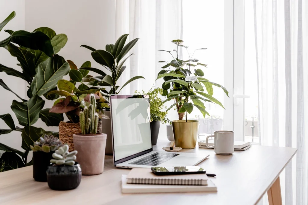 DIY Christmas gift for coworkers: “Mini desk planters”