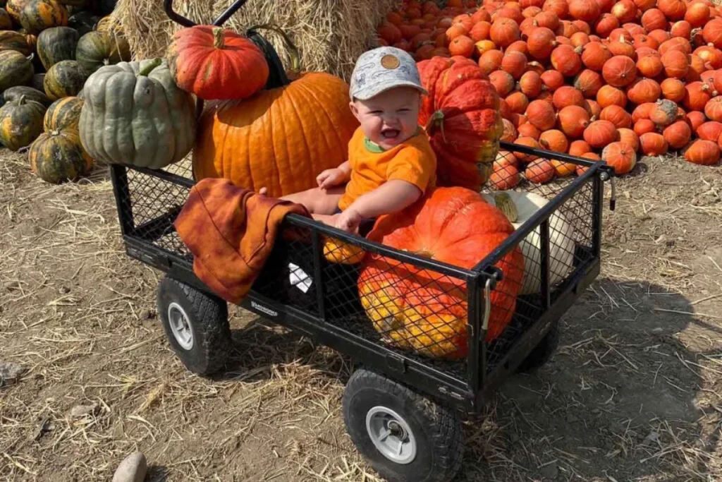 Pumpkin patch crawl